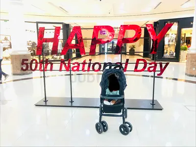 Stroller in good Condition