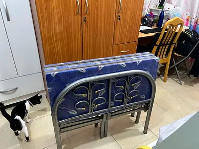 Metal Bed Frame with Mattress