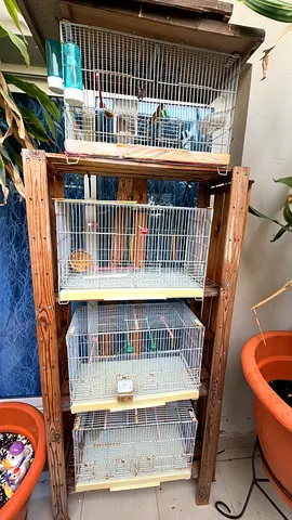 Bird cage with stand