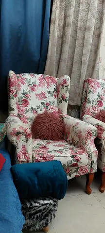 Arm chairs sofa