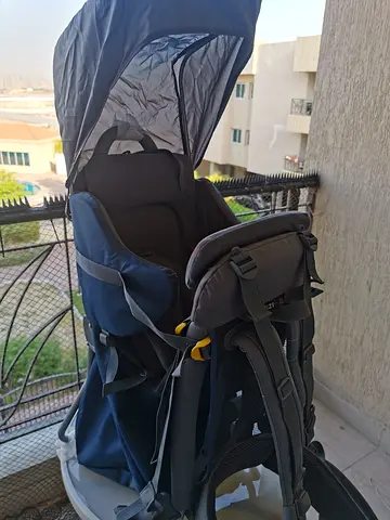 ADVENTURIDGE Child Carrier Backpack