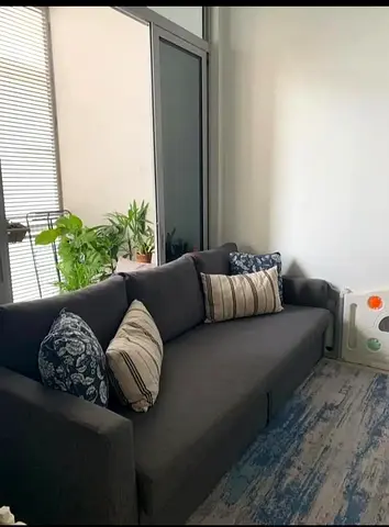 Comfortable Grey Sofa with Cushions