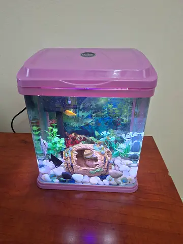 Aquarium with Fishes