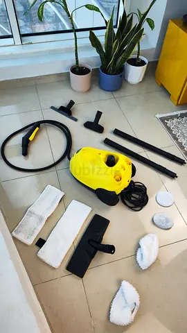 Karcher steam cleaner for sale
