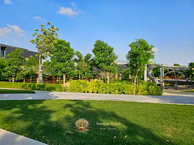 Masterpiece Residence / Forest Canopy Views / Freehold