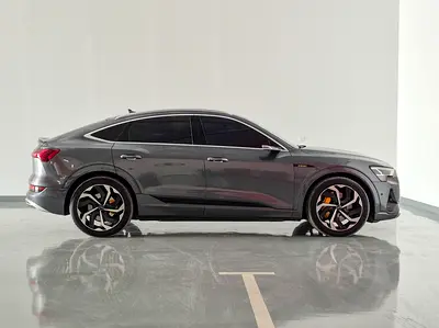 2020 AUDI E-TRON 缩略图 4