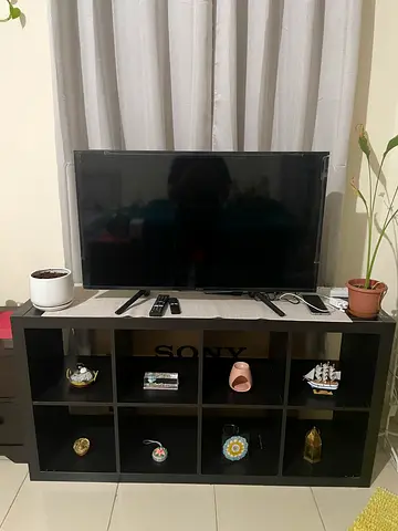 Sony Bravia Flat Panel TV