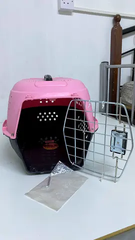 Pet accessories