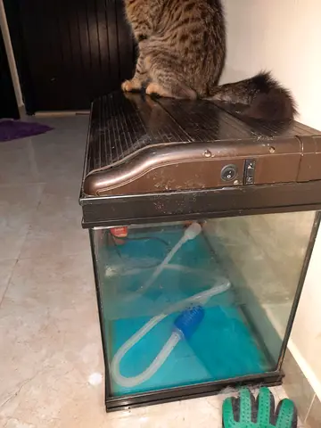 Fish Tank Brand Camry - 20 gallon tank