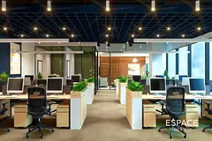 Fully Furnished | Brand New Fully Fitted | Brand New Lobby Renovation