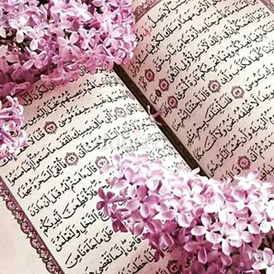 Certified Quran and tajweed QARI ... female and male teacher available... 0...0...0...0......