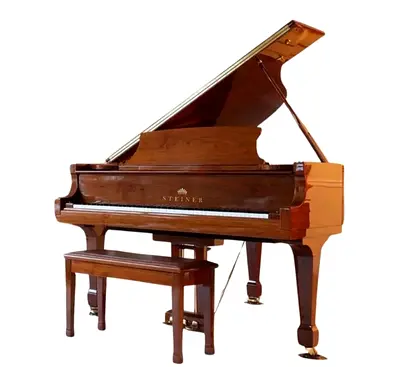 Steiner HG-152 Walnut