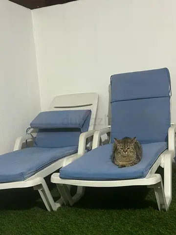 Comfortable Outdoor Lounge Chairs for Relaxation