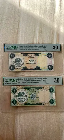 Collection of UAE Currency Notes