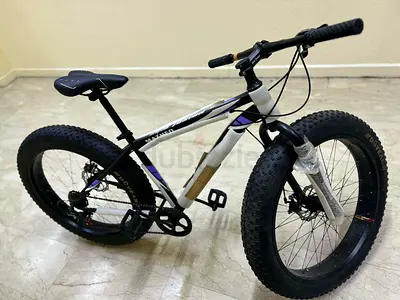 Mountain bike