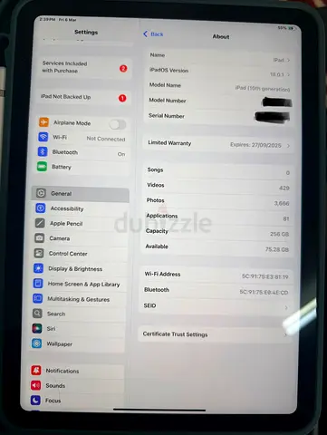 Apple iPad with Colorful Display