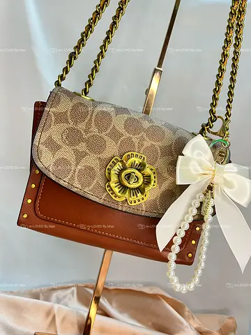 Coach Shoulder/Crossbody Bag