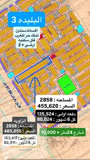 Land for sale in Blida, freehold, all Arab nationalities, with an initial payment and installments o