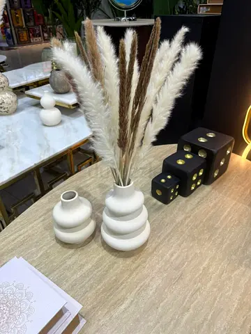 Elegant Decorative Vases Collection