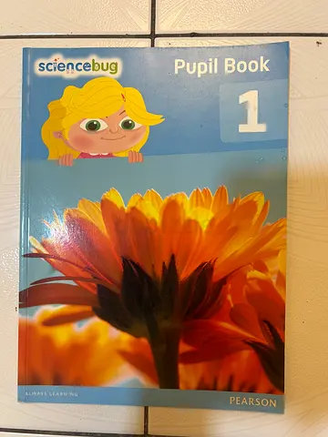 Science Bug Pupil Book 1