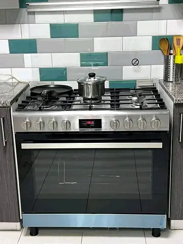 Stainless Steel Gas Range with Oven
