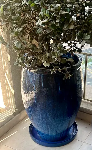 Large Hand-Blown Blue Ceramic Pot from Portugal – 69 cm