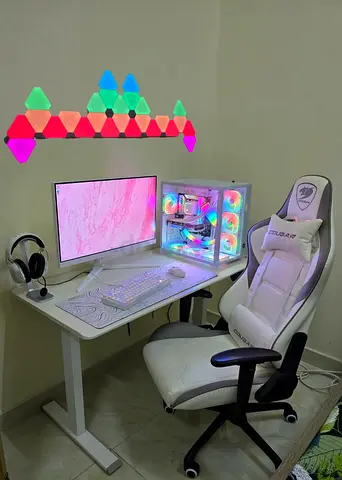 Gaming Setup/i7 14700K/RTX 4070 12gb/32gb DDR5 rams/1TB Nvme Gen4