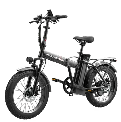 Wind Horse W2 B Electric Bike, Black