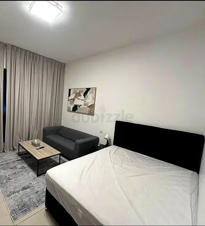 Luxury master room in Tecom for rent