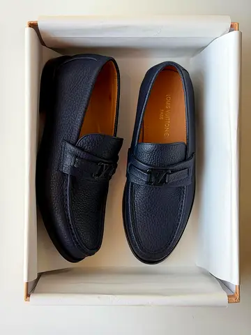 Louis vuitton men shoes