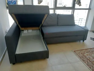 Modern Sofa Bed with Storage
