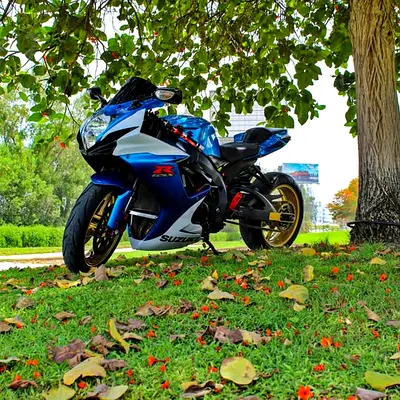 2011 Suzuki GSX-R 600 | M4 Tuned | Mint Condition