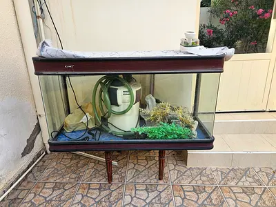 Fish Tank with Equipment for Sale