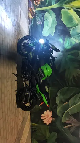 2019 Ninja 650