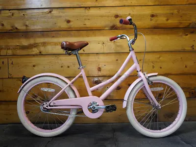 Adam Dutch Style 20 Kids Bike