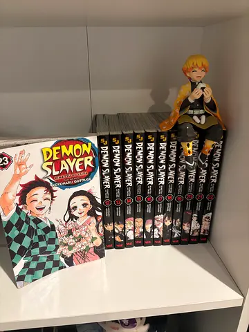 Demon slayer manga lot