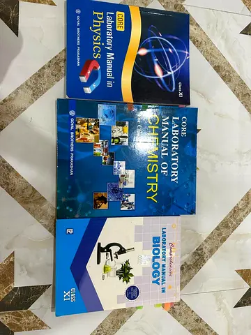 Grade 11 practical book