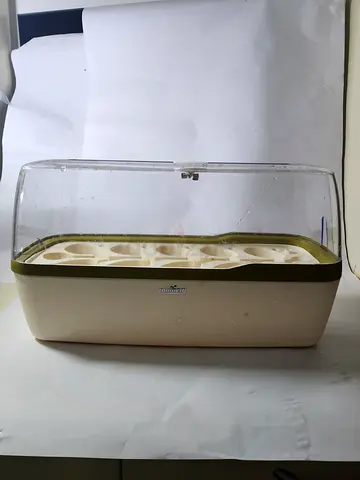 Growing green house for plants