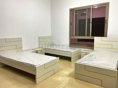 Executive Bachelors Bed Space Available in tecom  Barsha Heights