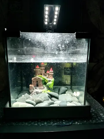 Aquarium with Decorative Castle and Stones