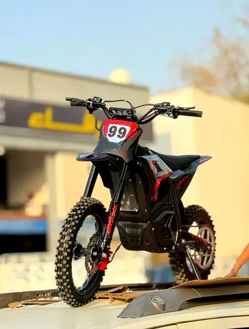 Dream 01 Off-Road E-Bike 2026 Model Electric Dirt bike for sale