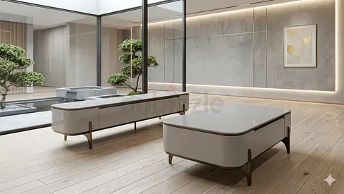 Modern Coffee Table and Tv Table Set