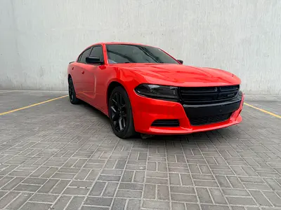 NO DEPOIST / free delivery/ 2500 km-Tabby TAMARA Accepted