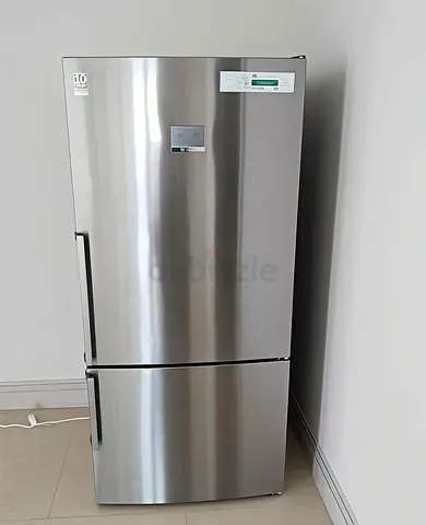 Stylish Stainless Steel Refrigerator