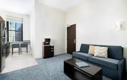Luxury one bedroom furnished apartment
