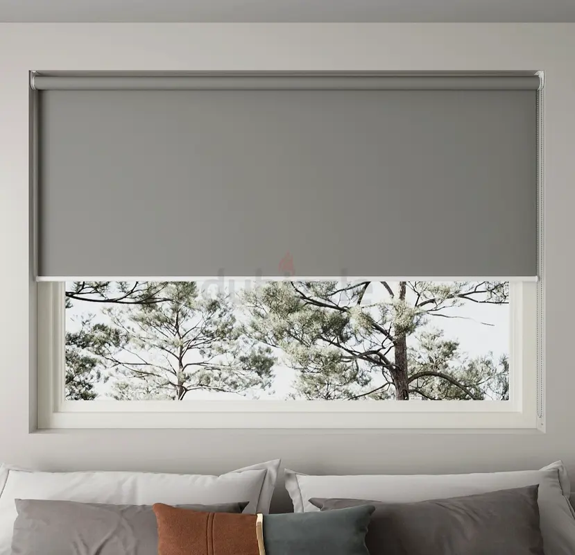 DPV_View_Image_4