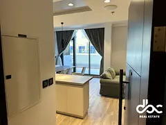 Furnished 1-Bed-Apt-any-period-Luxurious