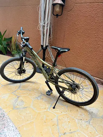 Giant Children Mountain Bike