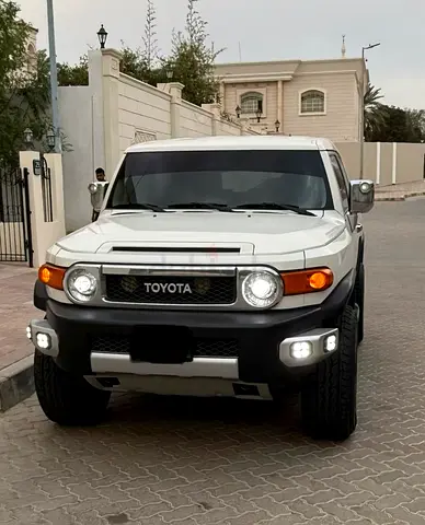 Fj Cruiser 2013 Off Road Setup