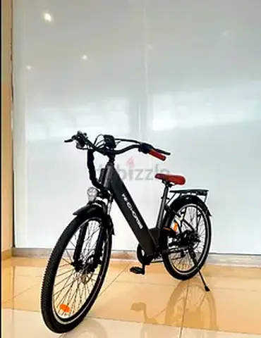 Wind Horse F2 Electric Cycle - Black